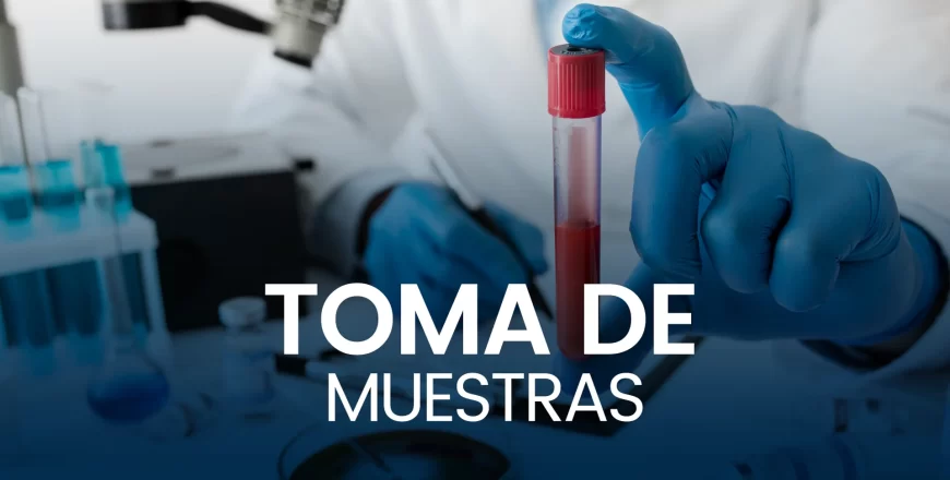 imagen_2023-10-25_122901542.png